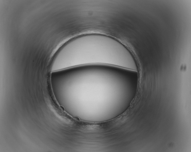 X0000110860108200906180955