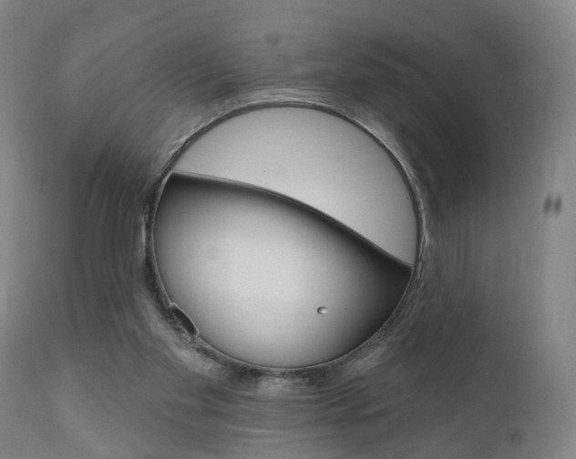 X0000110860109200906180955