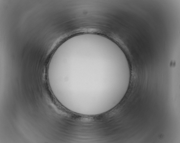 X0000110860110200906180955