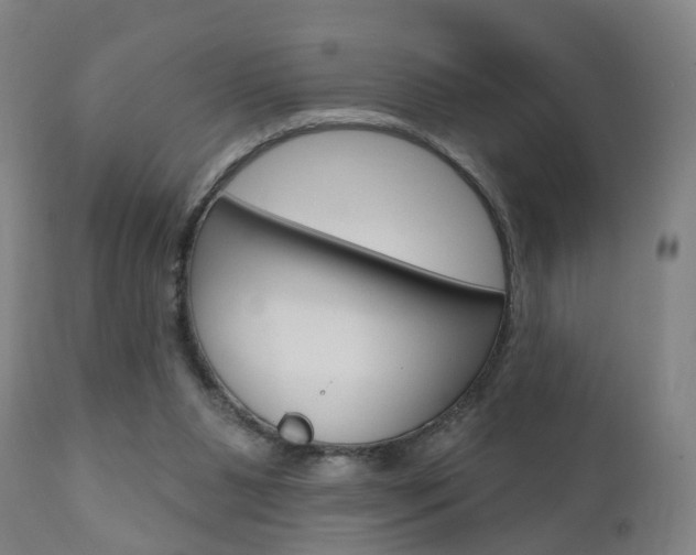 X0000110860111200906180955