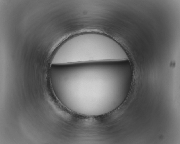 X0000110860112200906180955