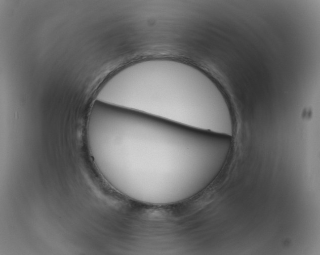 X0000110860115200906180954