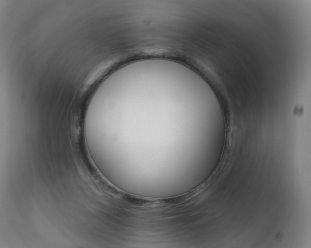 X0000110860116200906180954