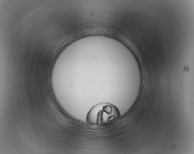 X0000110860117200906180954