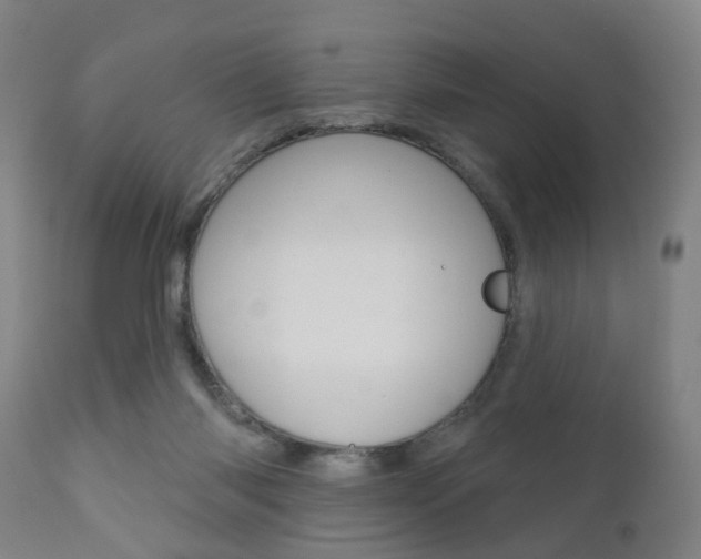 X0000110860118200906180954