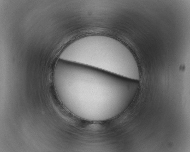 X0000110860119200906180954