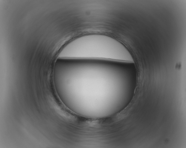 X0000110860120200906180954
