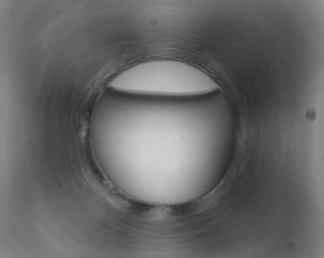 X0000110860124200906180954