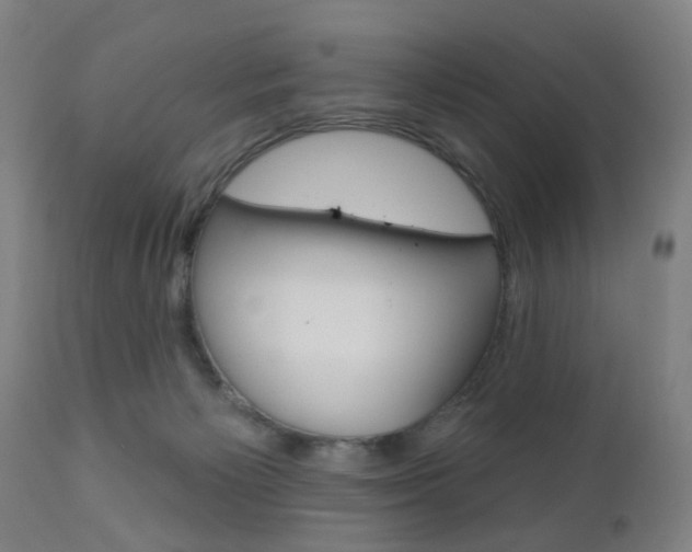 X0000110860125200906180954