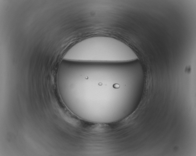 X0000110860128200906180954