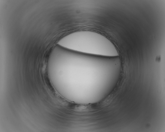 X0000110860129200906180954