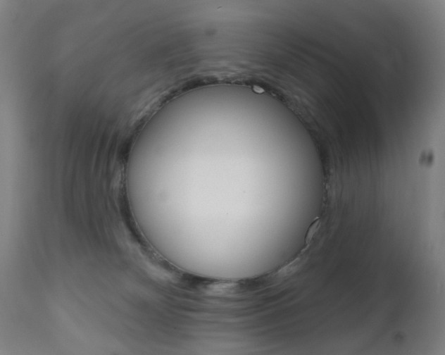 X0000110860132200906180954