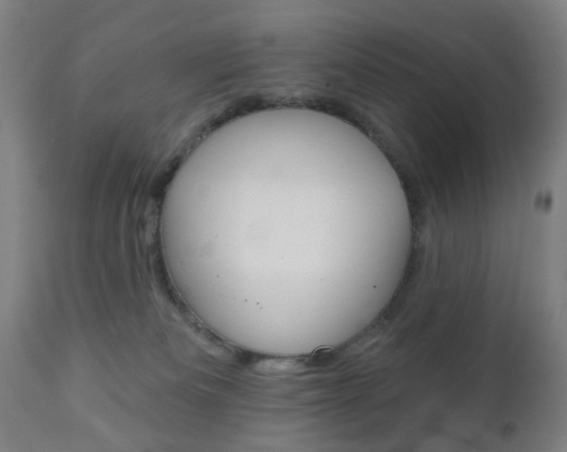 X0000110860133200906180954
