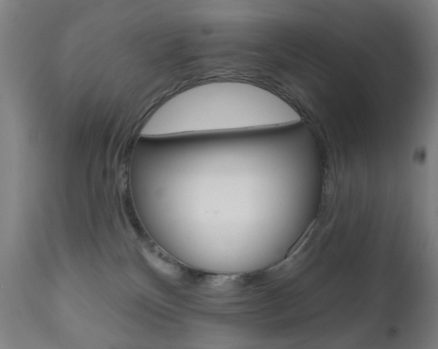 X0000110860136200906180954