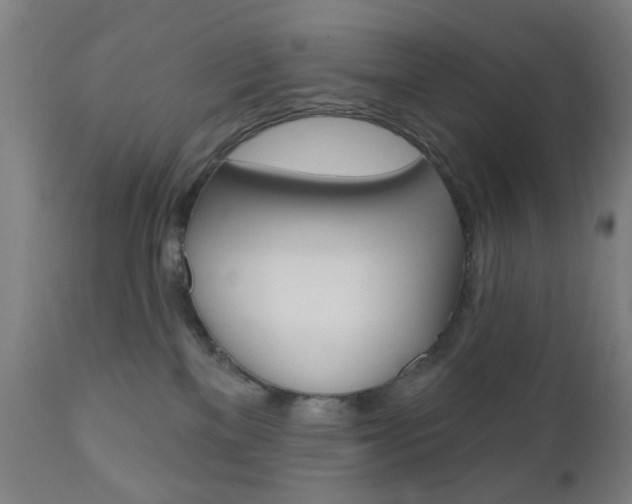 X0000110860137200906180954