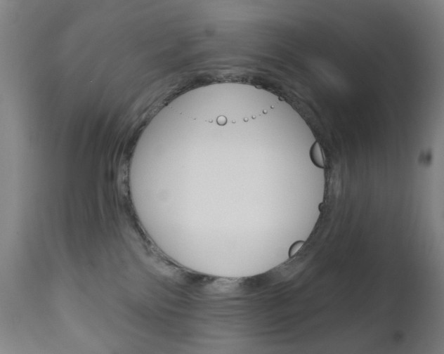 X0000110860138200906180954