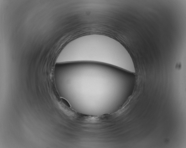 X0000110860140200906180954