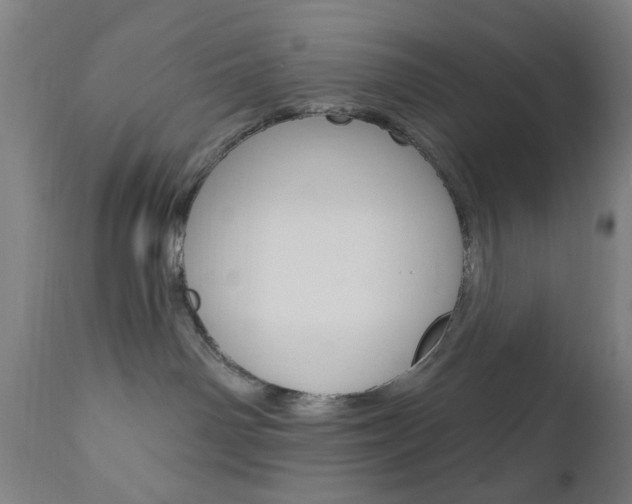 X0000110860142200906180954