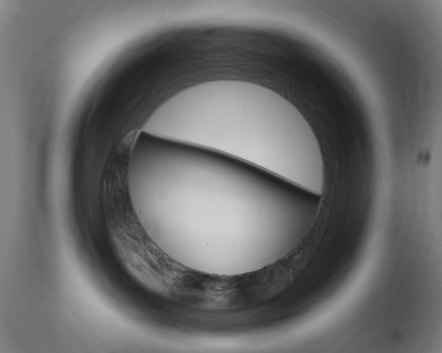 X0000110860143200906180954