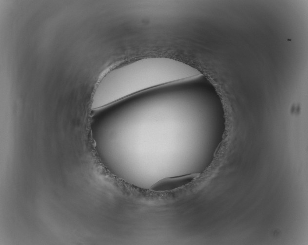 X0000110860144200906180954
