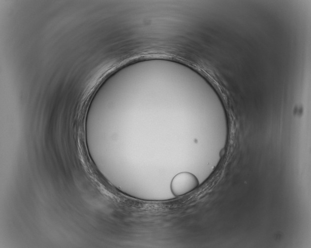 X0000110860145200906180953