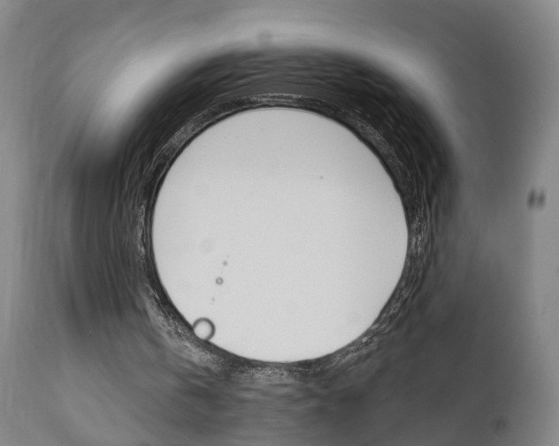 X0000110860146200906180953