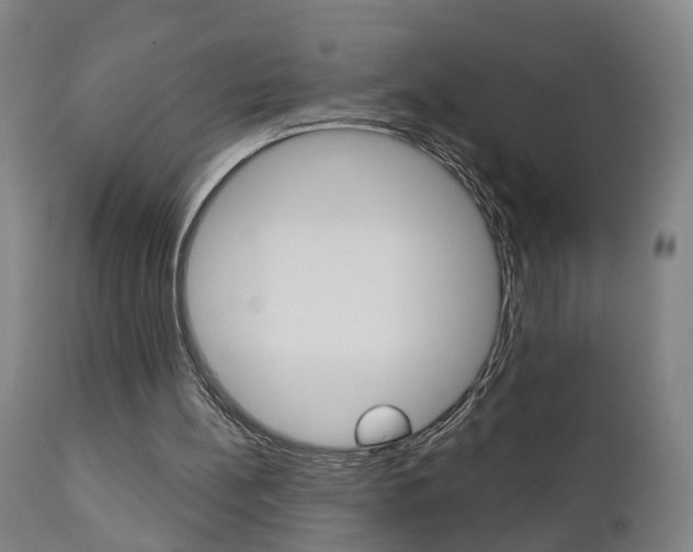 X0000110860148200906180953