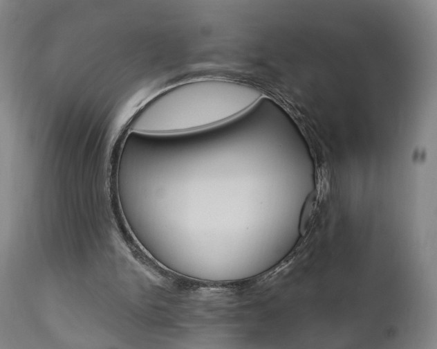 X0000110860150200906180954