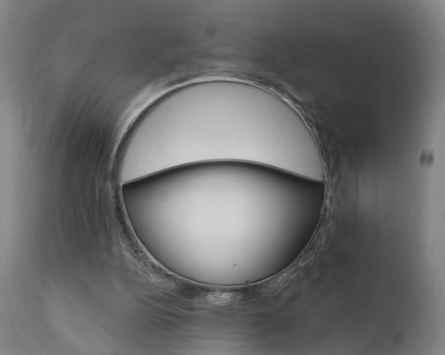 X0000110860152200906180954