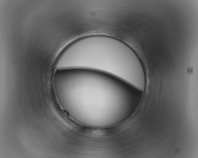 X0000110860156200906180954