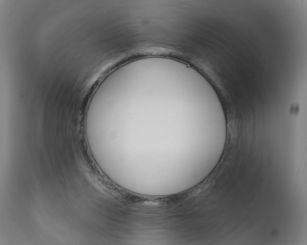 X0000110860159200906180954