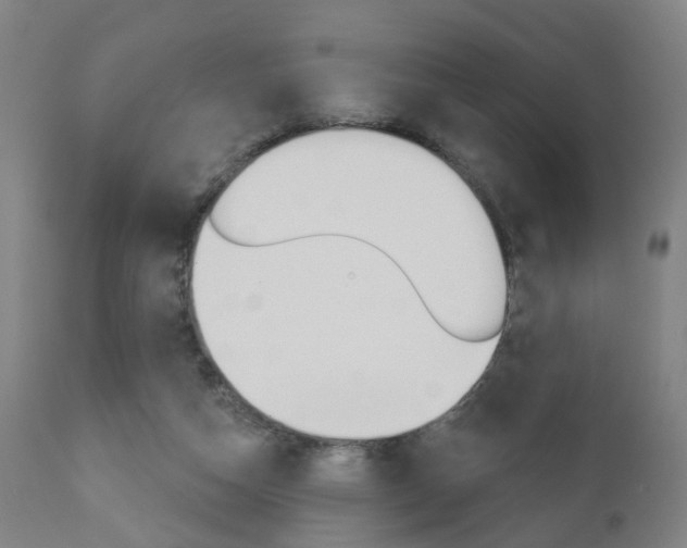 X0000110860162200906180954