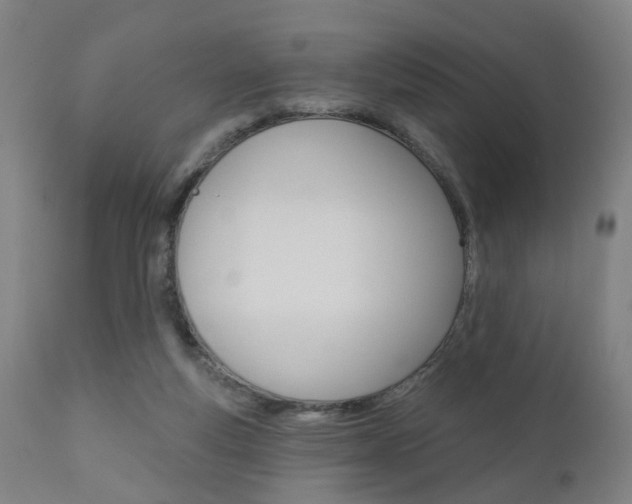X0000110860163200906180954