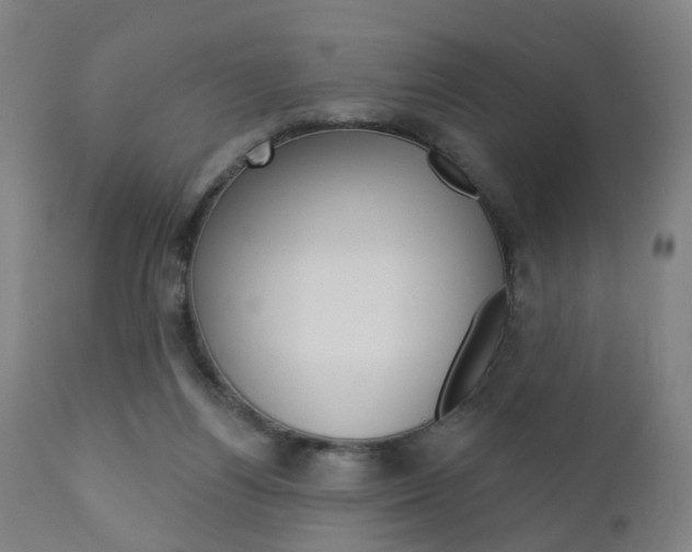 X0000110860164200906180954