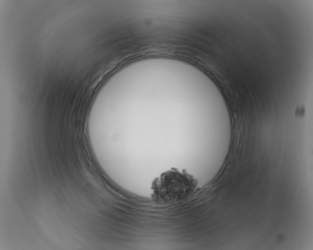 X0000110860168200906180954