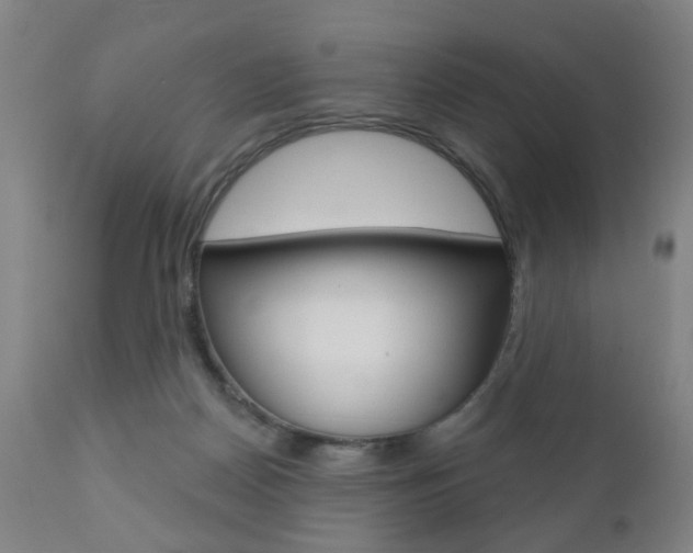 X0000110860170200906180954