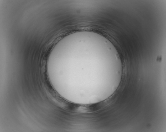 X0000110860171200906180954