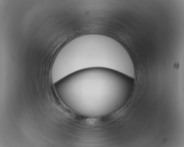 X0000110860172200906180954