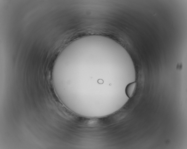 X0000110860173200906180954