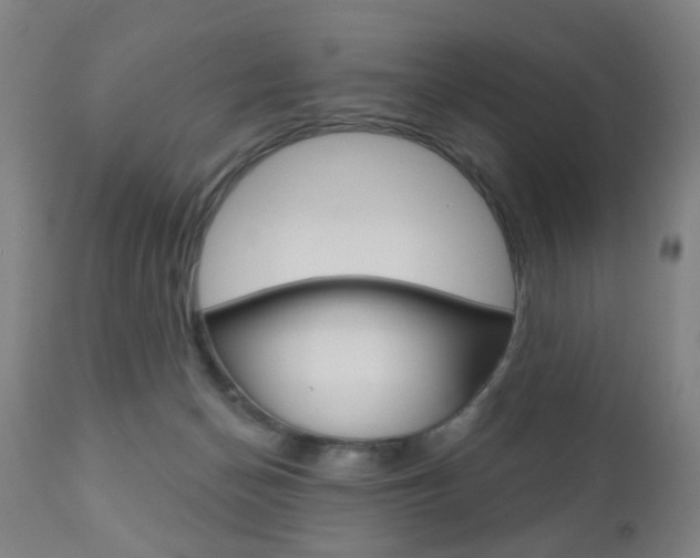X0000110860174200906180954