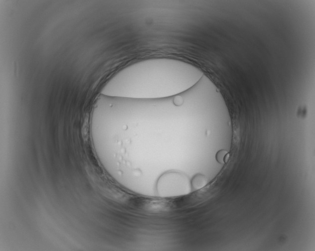 X0000110860175200906180954