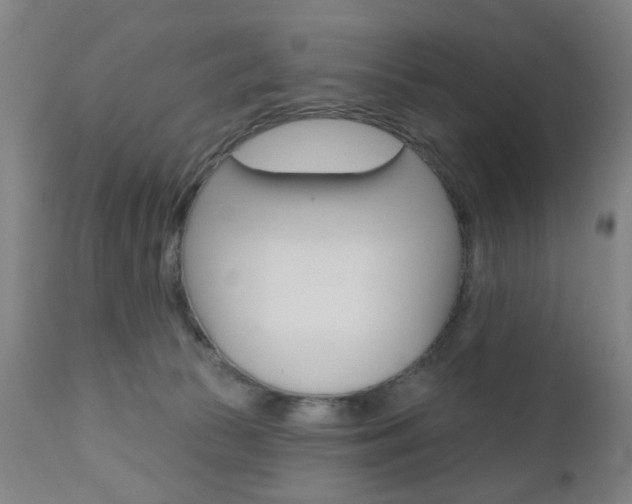 X0000110860177200906180954