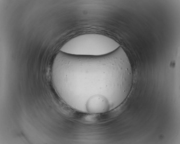 X0000110860178200906180954