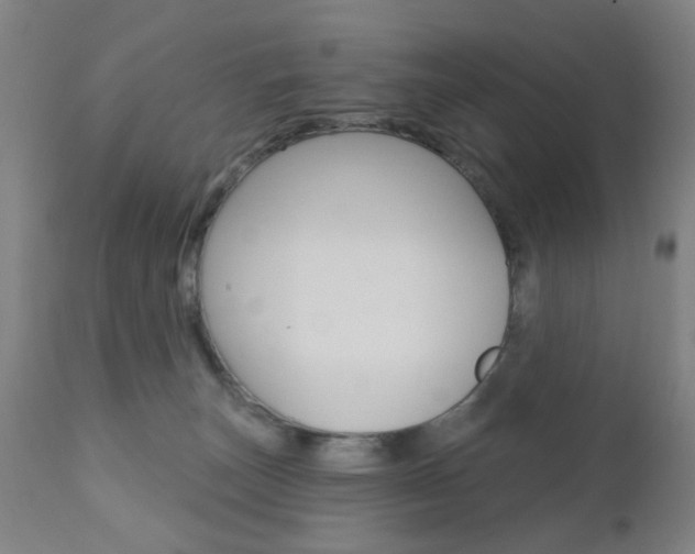 X0000110860179200906180954