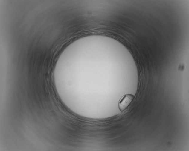 X0000110860180200906180954