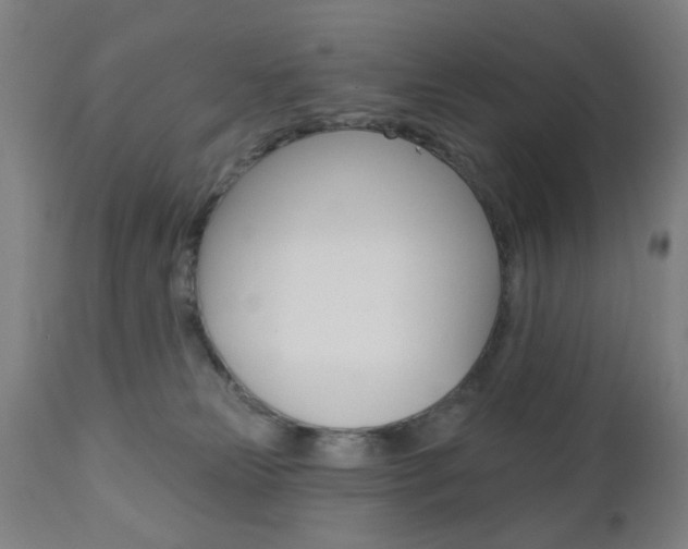 X0000110860181200906180954