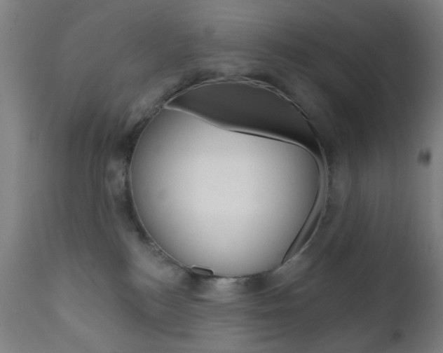 X0000110860184200906180954