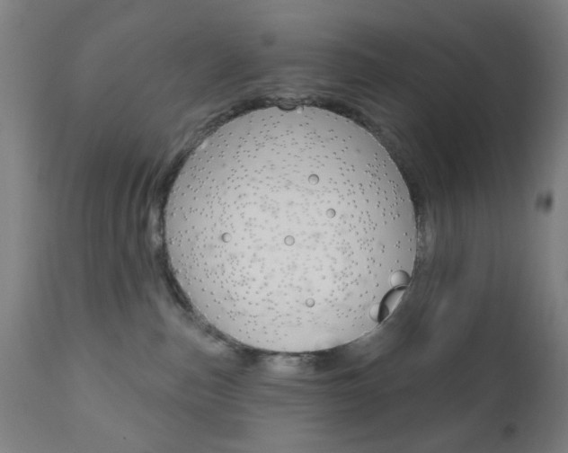 X0000110860187200906180954