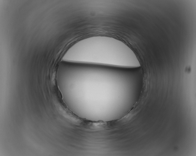 X0000110860188200906180954