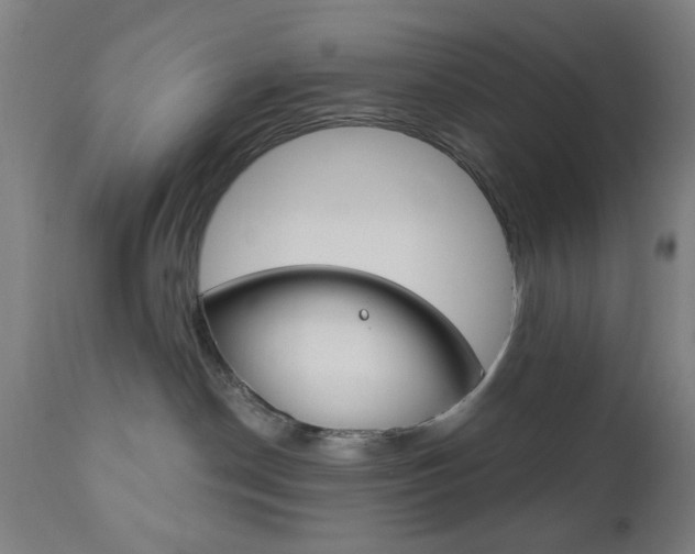 X0000110860190200906180954